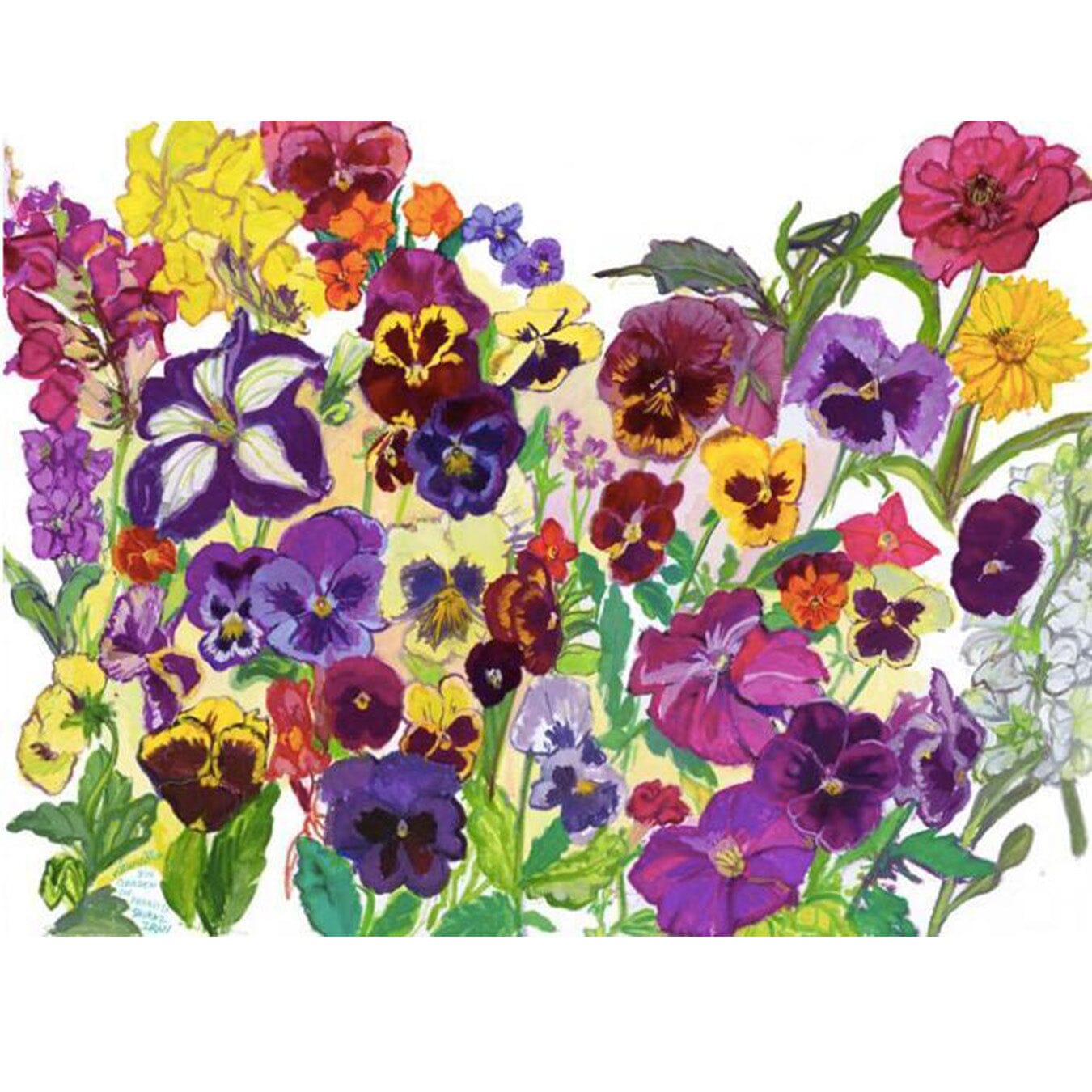Noruz: Pansies and the First Flowers of Spring Giclee by Laurie Blum Blumera 